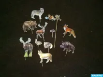 майсторски диви