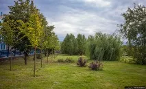Міленіум парк Казань парк