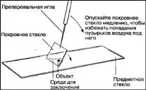 могат бъдат направени могат бъдат