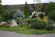 Мій чудовий сад у Стрільні! чудовий