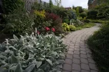 Мій чудовий сад у Стрільні! частина