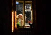відмороженого
