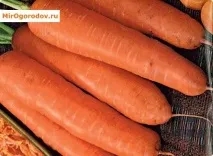 разнообразието предимствата