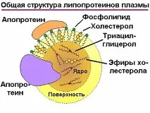 мляко