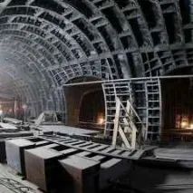 собянин московчани