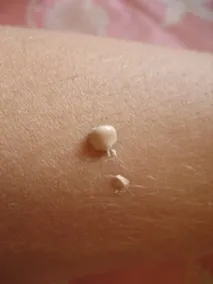 прегледи моите