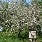 практическо подкуп