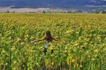 Наші в Мексиці правда та міфи про батьківщину текіли наші