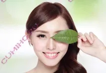 Набір косметики із зеленим чаєм Jant Blanc Green Tea Balancing Skin Care Set jant