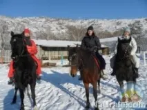 урал оздравителният
