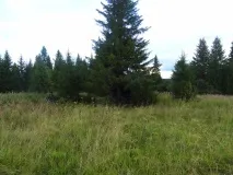 Наша перша ЄврАзія, vol5 Растесс - аномальна зона євразія