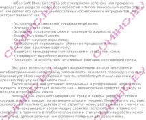 Набір косметики із зеленим чаєм Jant Blanc Green Tea Balancing Skin Care Set косметики