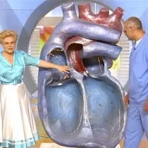 ритми ритми