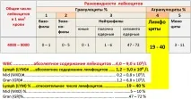 Норма лімфоцитів у чоловіків у крові який має бути чоловіків