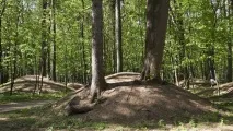 Незнайоме Підмосков’я 7 цікавих фактів про регіон - З життя - РІАМО підмосков