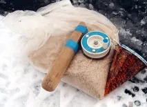 зимової
