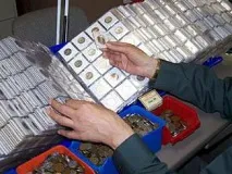 Нумізматика, або Як збирають цінні монети збирають