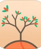 Огляд Eufloria астероїдах