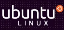 Операційна система Ubuntu Linux, Операційні системи та мережі система