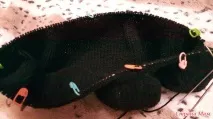 онлайн игли