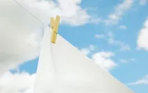 могли