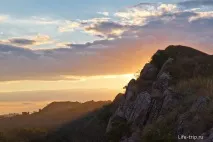 бела калитва