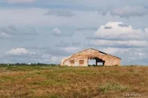 бела калитва
