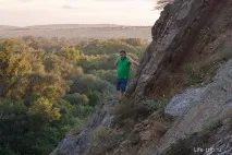 околности авилови