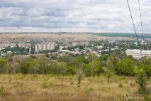 бела бела