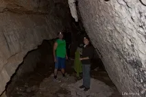 авилови калитва