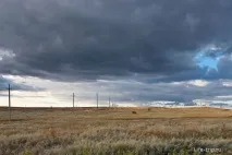 бела околности