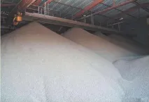 слънчогледови семена слънчогледови семена