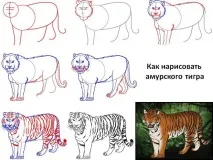 проект направите