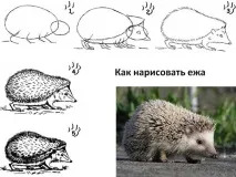 светът проект