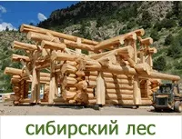 растения растения