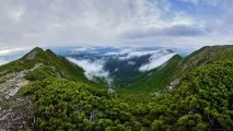 открийте след това