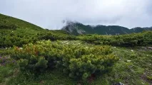 планина владивосток