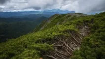 облачната открийте