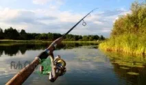 Осінній жор щуки лов щуки восени щуки