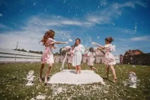 Організація, Ave Maria Wedding Photographer організація