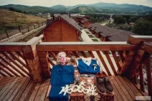 Організація, Ave Maria Wedding Photographer wedding