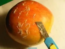 симптоми лечение