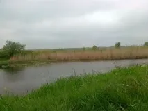 Осінній жор щуки лов щуки восени щуки