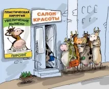 краси
