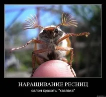 краси