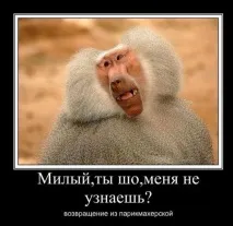 краси