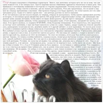 Листівка (плейкаст) «Кіт і Троянда» було