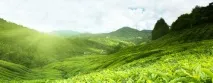 пълнозърнести храни тегло