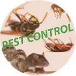 Pest Control, Що таке піст контроль таке