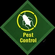 Pest Control, Що таке піст контроль таке